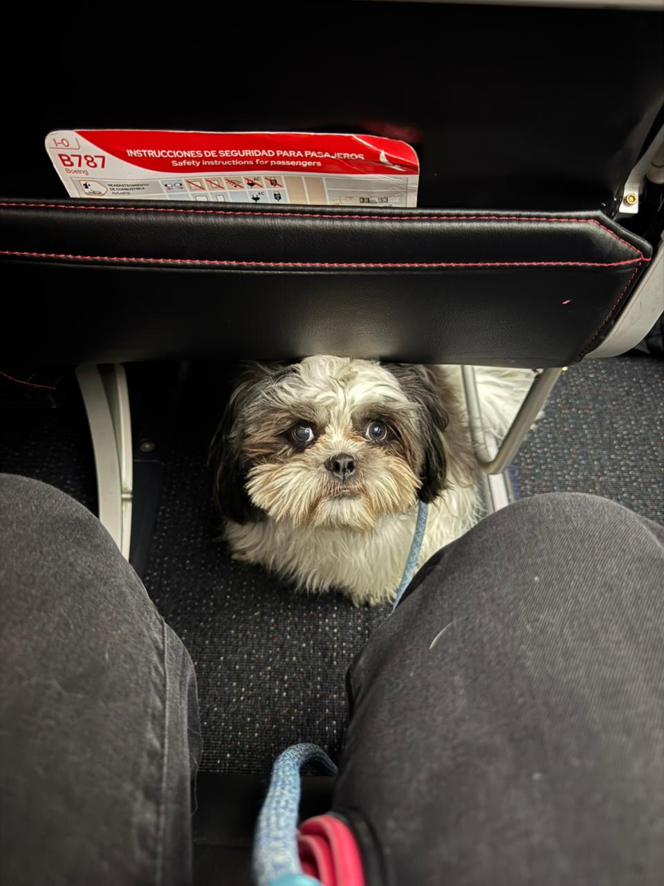 Azul de regreso a casa - Santiago de Chile 🇨🇱