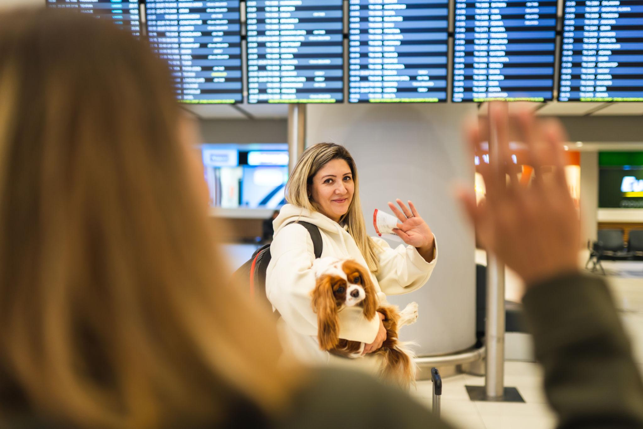 Mascota viajando con PetOnBoard